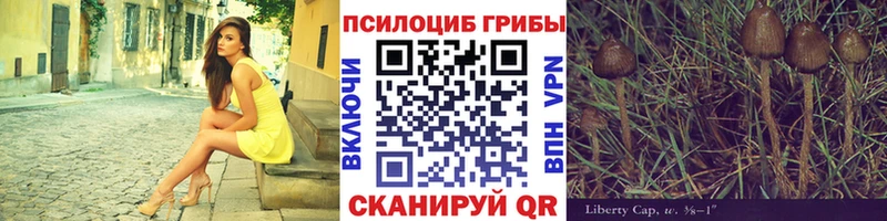 хочу наркоту  Нефтеюганск  Галлюциногенные грибы MAGIC MUSHROOMS 